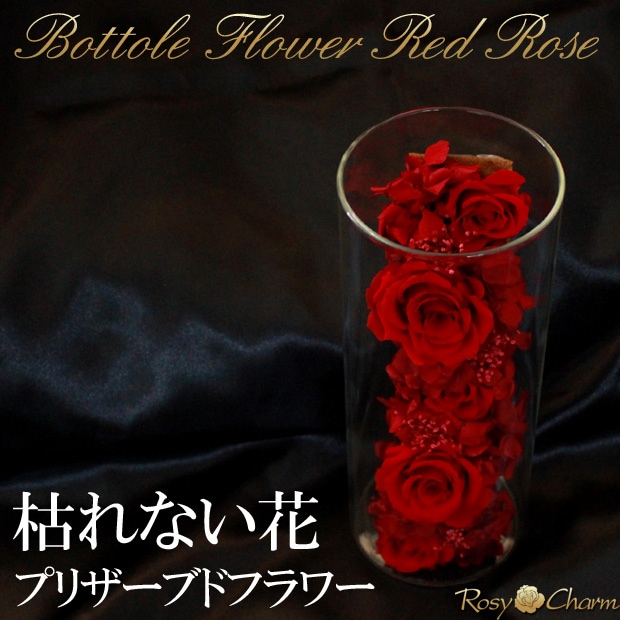 Saleレッド&ブルーバラ2点セット♪*¨…♫ ボトルフラワー bb206eda66559d5c31b77b1c40d8df